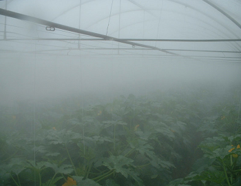 Фертигация (торене) през системата за водна мъгла в оранжерии