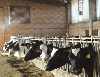 Климатизация и охлаждане в животновъдни ферми и стопанства с водна мъгла